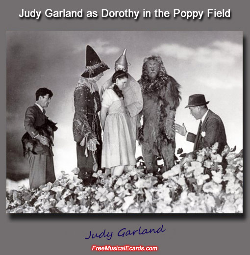 Judy Garland as Dorothy in the Poppy Field