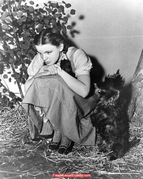 Publicity still of Judy Garland as Dorothy with Toto on The Wizard of Oz set