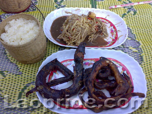 Extreme Lao food not for the faint of heart