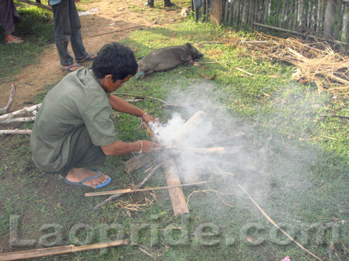 Fresh pork for dinner in Laos