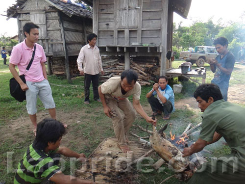 Fresh pork for dinner in Laos