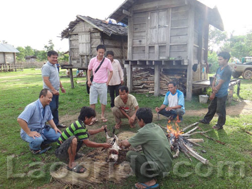 Fresh pork for dinner in Laos