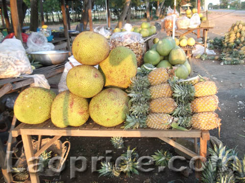 Snacks for road trips in Laos