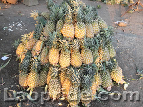 Snacks for road trips in Laos