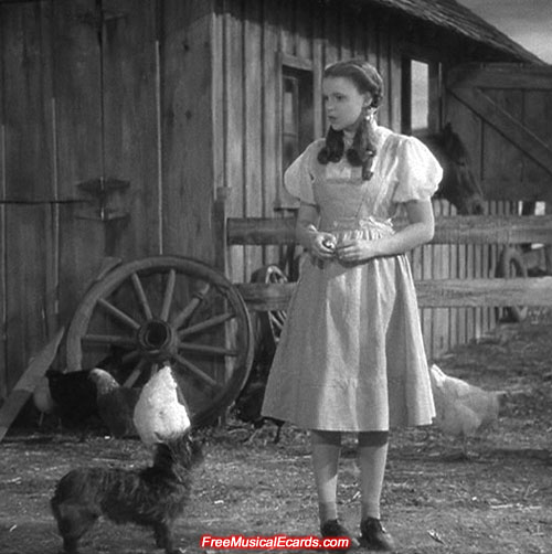 The Wizard of Oz became a classic film since its release in 1939