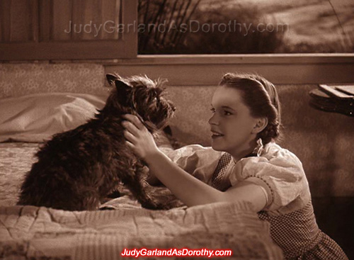 Beautiful Judy Garland as Dorothy