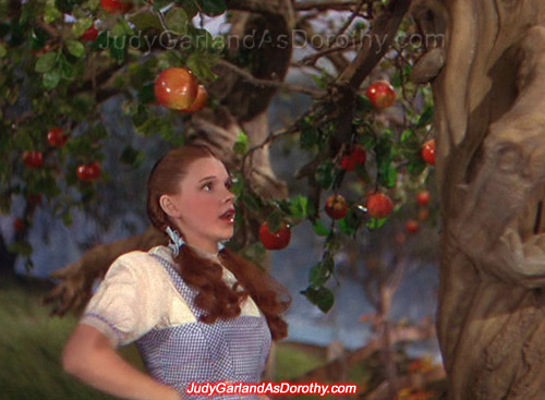 Beautiful Judy Garland as Dorothy