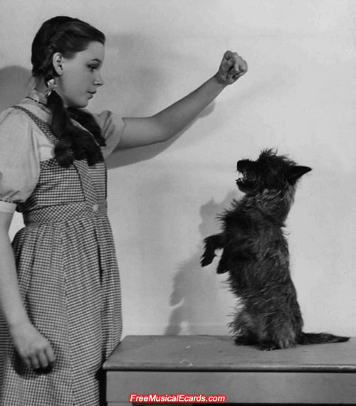 Judy Garland as Dorothy and Toto on the set of The Wizard of Oz