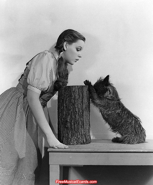 Judy Garland as Dorothy and Toto on the set of The Wizard of Oz