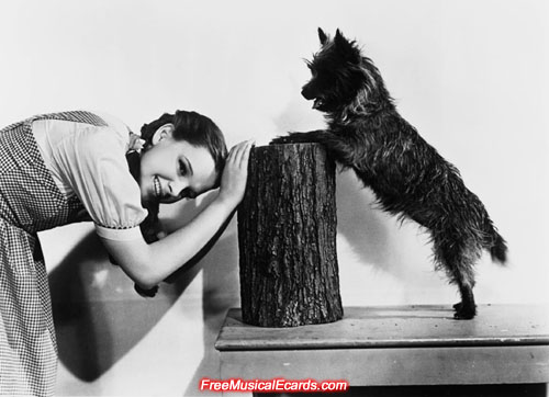 Judy Garland as Dorothy and Toto on the set of The Wizard of Oz