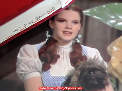 #7 Judy Garland inside Judy Garland's ruby slippers