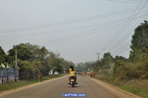 Trip to Talat, Vientiane province