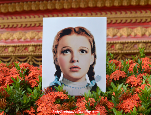 Classic beauty Judy Garland as Dorothy in stunning backdrops