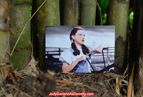 Classic beauty Judy Garland as Dorothy in stunning backdrops