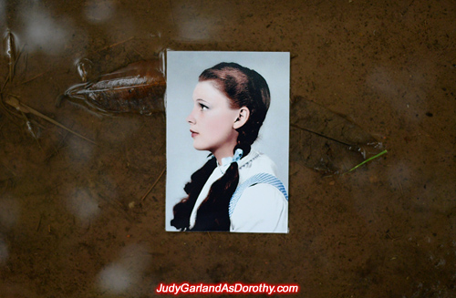 Classic beauty Judy Garland as Dorothy in stunning backdrops