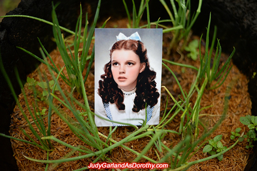 Classic beauty Judy Garland as Dorothy in stunning backdrops