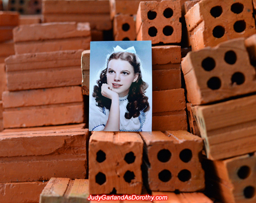 Classic beauty Judy Garland as Dorothy in stunning backdrops