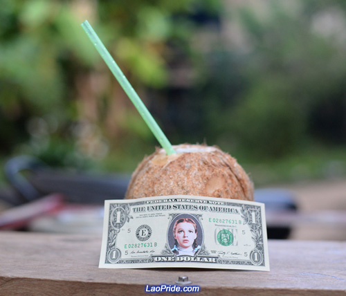 Fresh coconut juice is a healthy drink in Laos