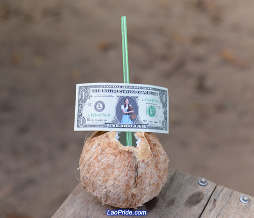 Fresh coconut juice is a healthy drink in Laos