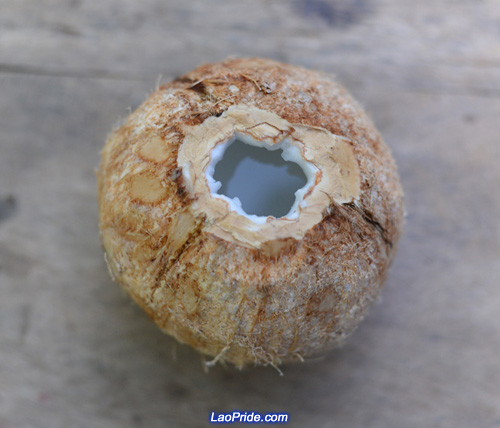 Fresh coconut juice is a healthy drink in Laos