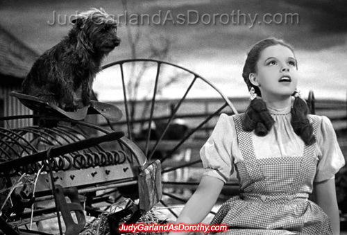 Judy Garland as Dorothy and Toto on her Kansas farm