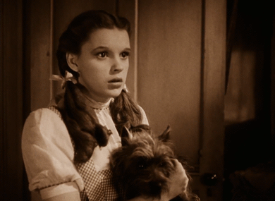 Adorable Judy Garland as Dorothy in The Wizard of Oz