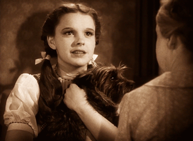 Adorable Judy Garland as Dorothy in The Wizard of Oz