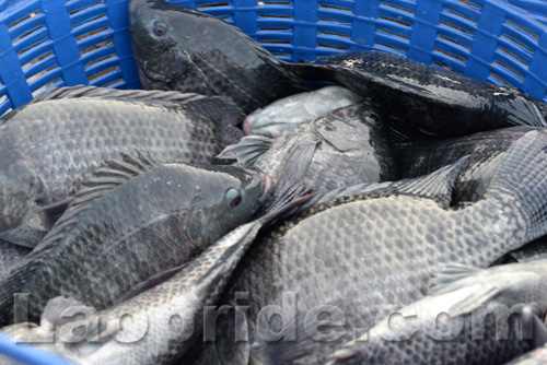 Khua Din market in Vientiane, Laos