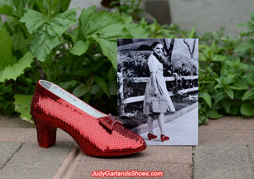 Outstanding work with the right shoe of Judy Garland's ruby slippers