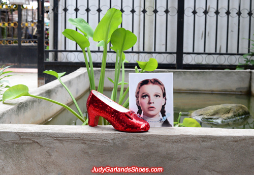 Stunning Judy Garland as Dorothy's finished right shoe