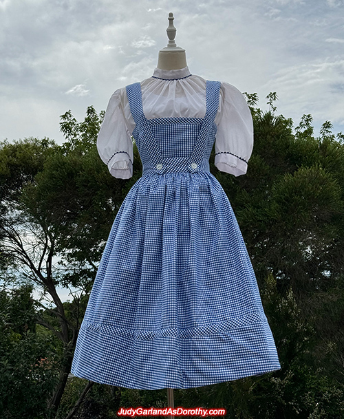 Dorothy dress made in November, 2023