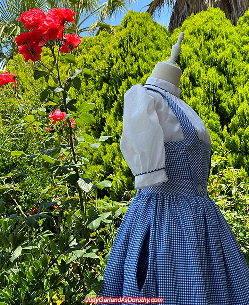 Dorothy dress made in November, 2023