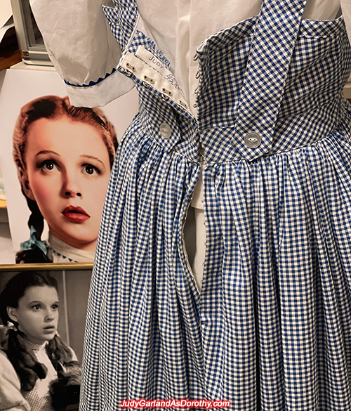 Hook-and-eye closures back of Dorothy dress