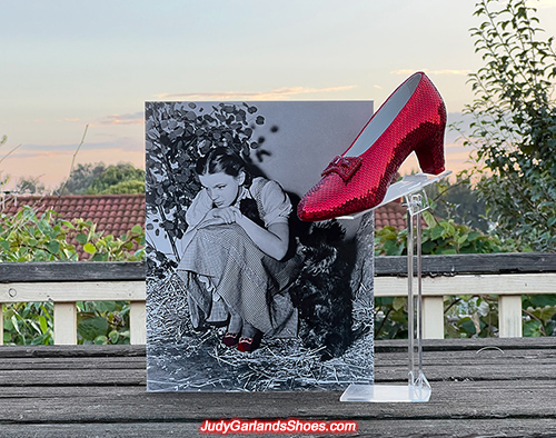 Judy Garland as Dorothy's size 5B right shoe