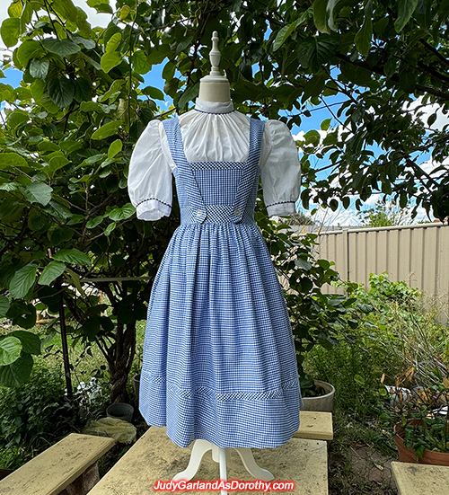 The Wizard of Oz Dorothy costume