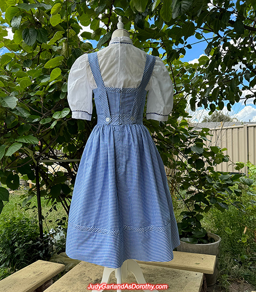 The Wizard of Oz Dorothy costume