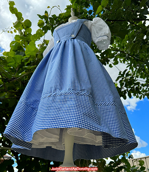 The Wizard of Oz Dorothy costume