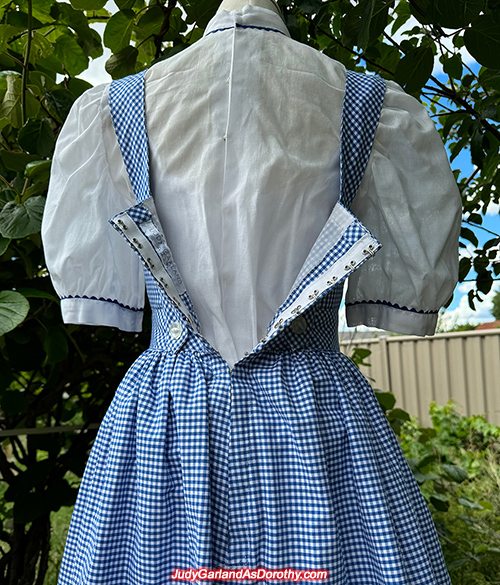 The Wizard of Oz Dorothy costume