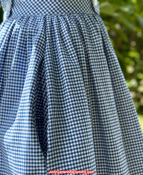 The Wizard of Oz Dorothy costume