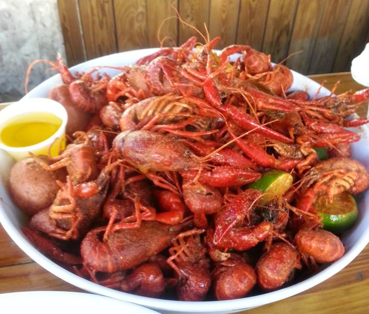 Mudbugs2.jpg