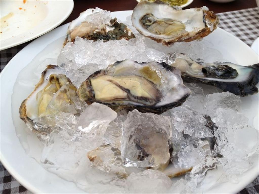 raw_oysters.JPG